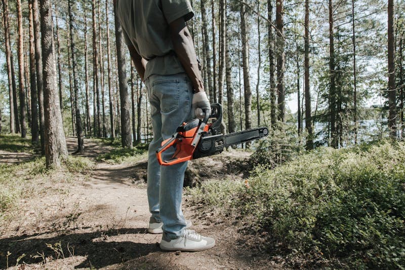 Tree Pruning